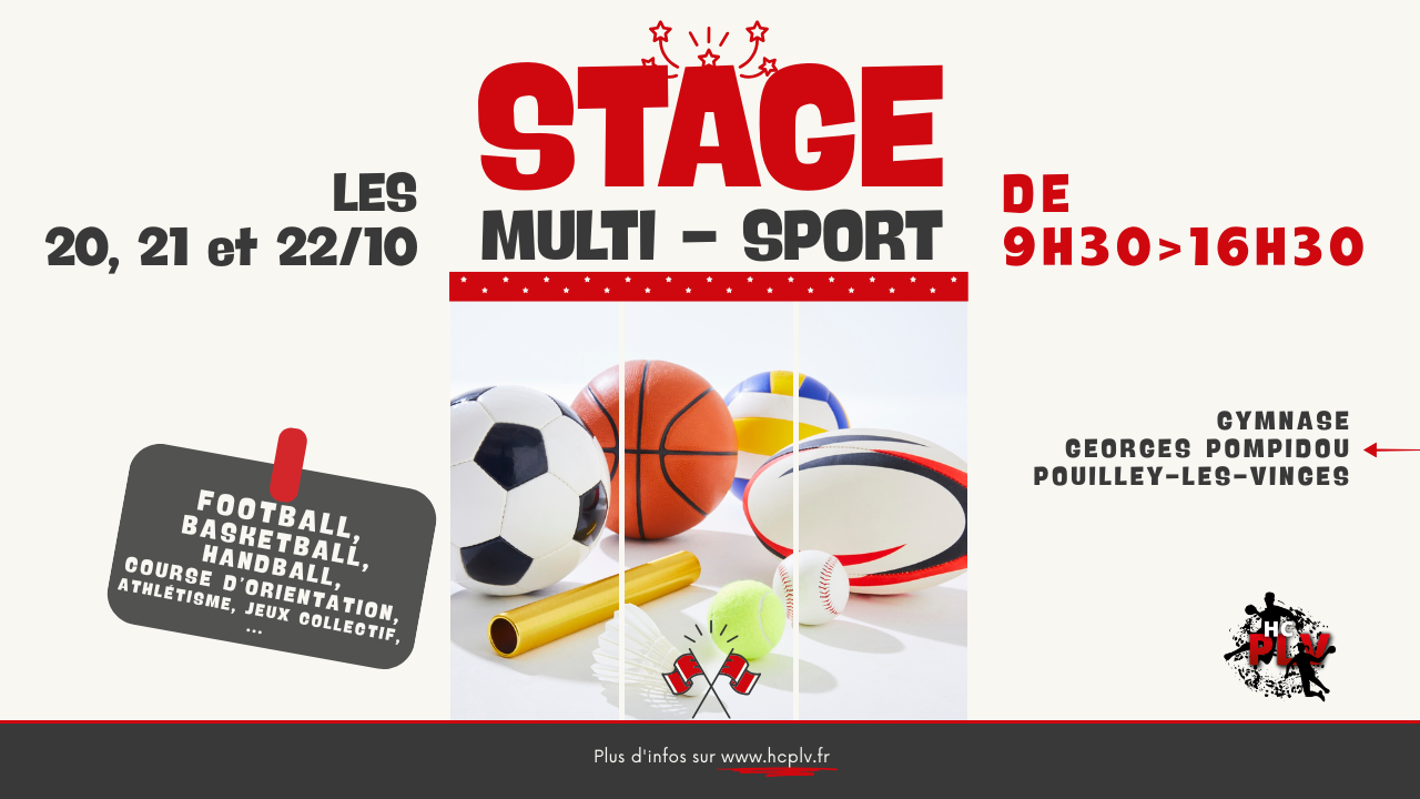 You are currently viewing Stage Jeune Multisport